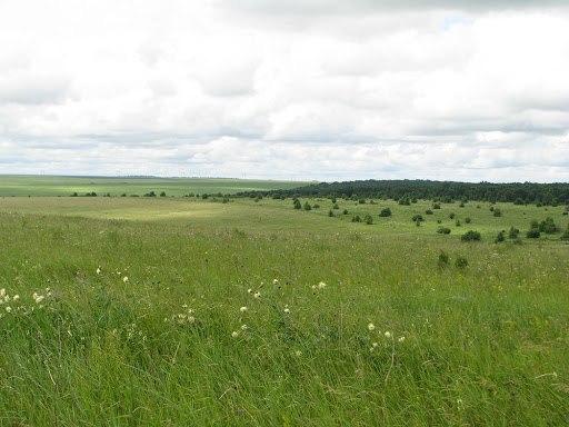 7 клас Природні зони Євразії лісостепи степи напівпустелі пустелі